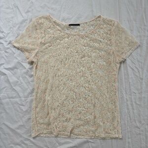 Vintage Velvet Sheer Lace Top
